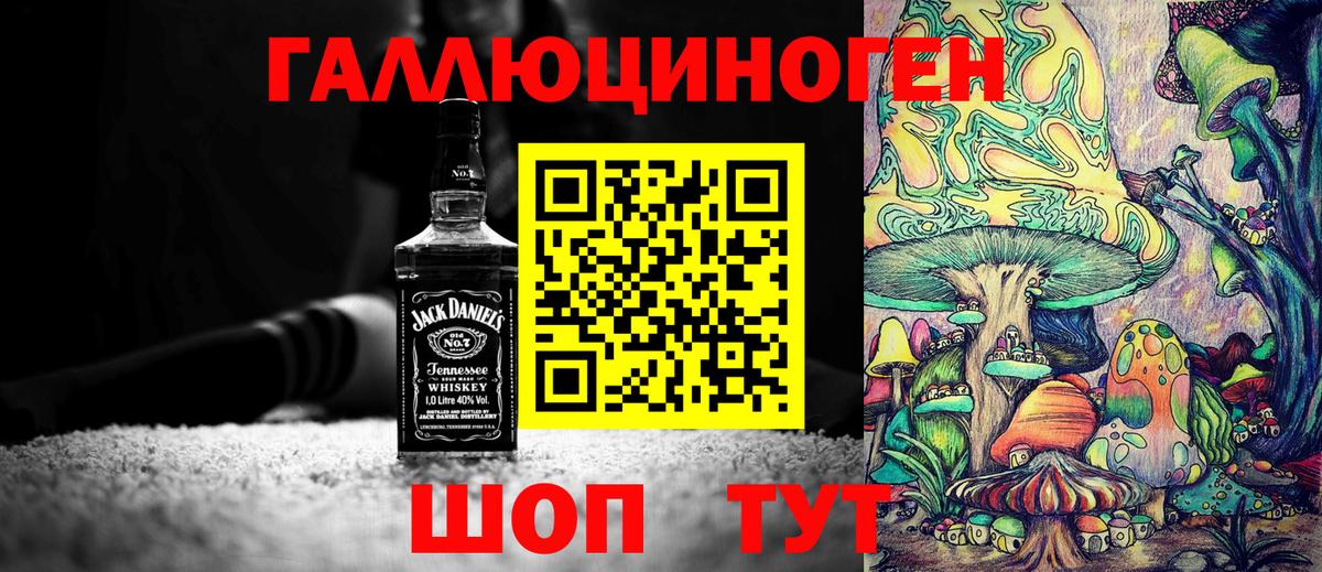 Галлюциногенные грибы Psilocybe Рассказово