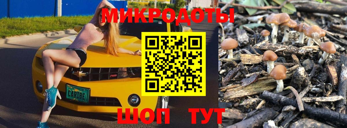 Рассказово  Псилоцибиновые грибы Magic Shrooms  Вход с VPN 