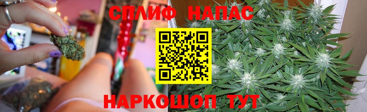 Конопля MAZAR Рассказово